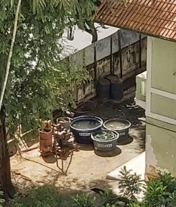 WhatsApp Image 2020-05-16 at 12.34.48