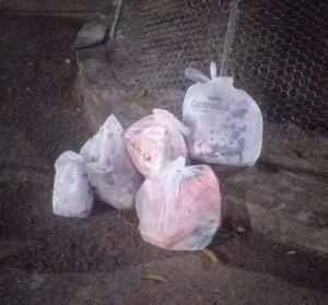 WhatsApp Image 2020-07-04 at 05.17.53