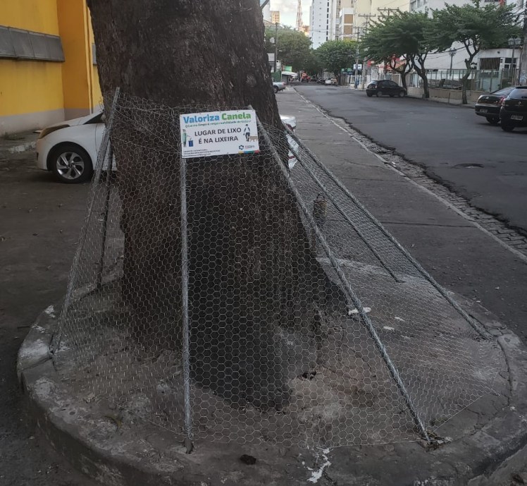 WhatsApp Image 2020-07-04 at 05.23.37